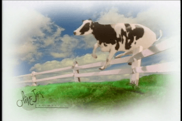 A digital drawing featuring a photograph of a fence post that a drawing of a cow has been edited onto to appear to be jumping the fence.