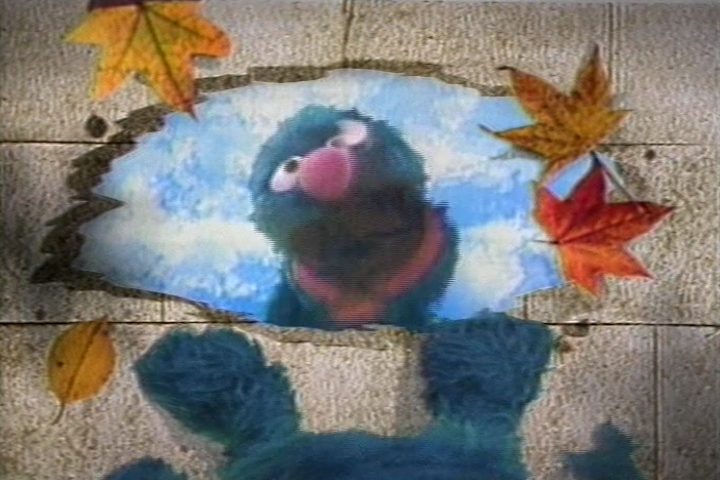 A still from a video of Grover from Sesame Street looking into a puddle.