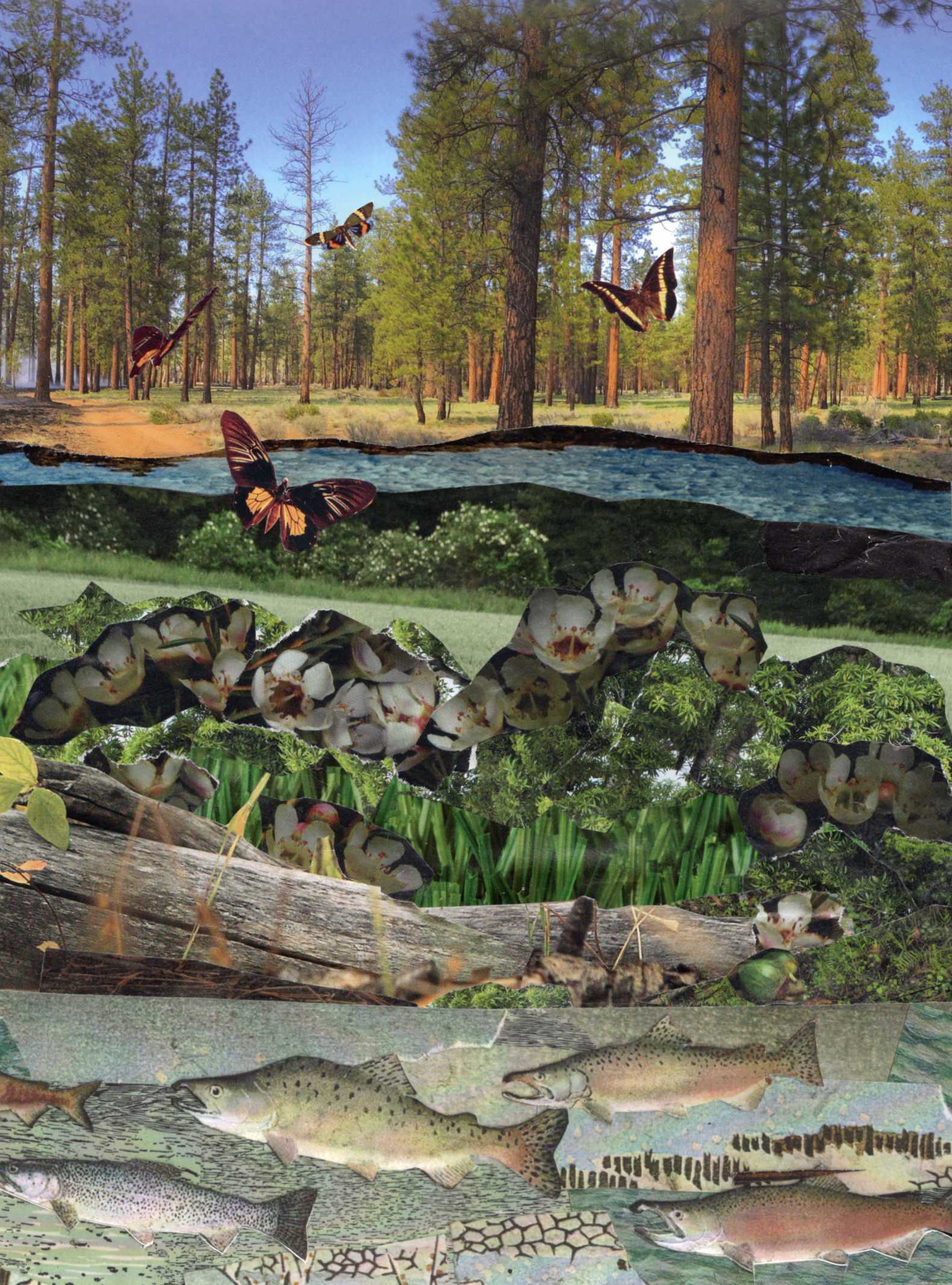 A handmade collage featuring several horizontal strips of different nature scenes, with butterflies flying all throughout.