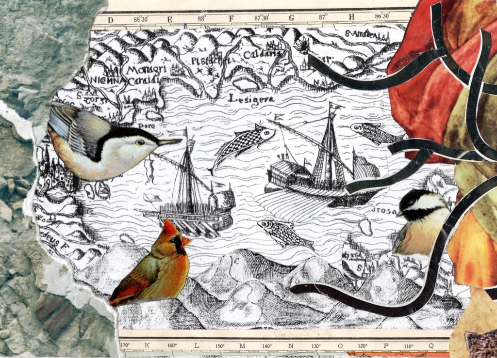 A handmade collage featuring a map with several birds on it.
