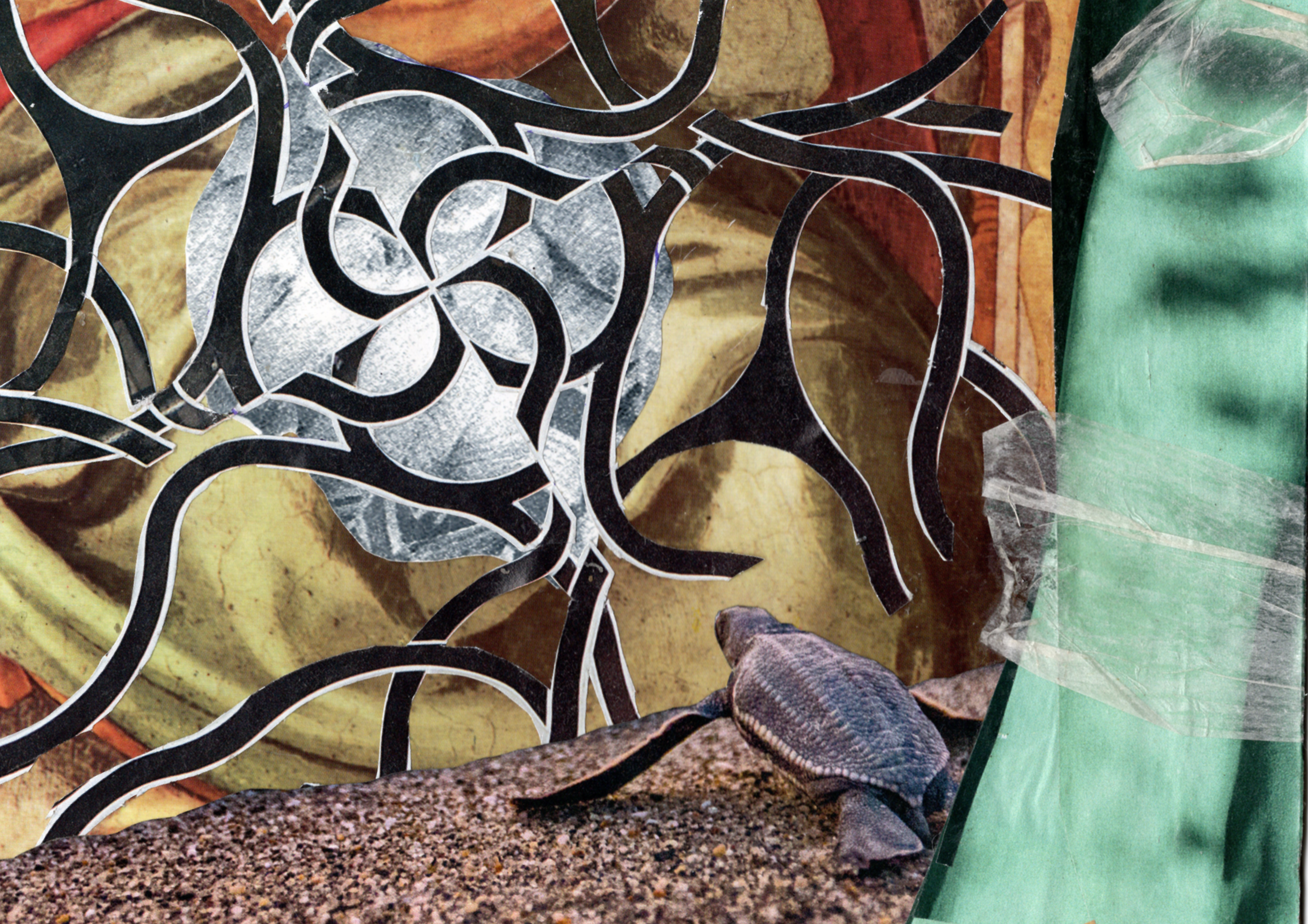 A handmade collage featuring a turtle looking at several tangled black lines.